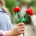 Lego 40460 Botanicals Flowers Roses
