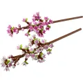 Lego 40725 Botanicals Flowers Cherry Blossoms