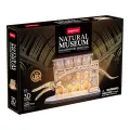 Cubic Fun 3d Puzzel NM Hout Blauwe Vinvis LED