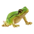 Schleich Wild Life Europese Boomkikker Dierenfiguur 1 stuk