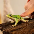 Schleich 14882 Wild Life Europese Boomkikker