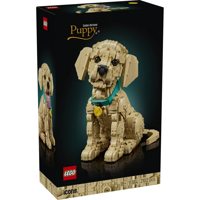 LEGO Bouwset Icons Golden Retriever Puppy 1 stuk