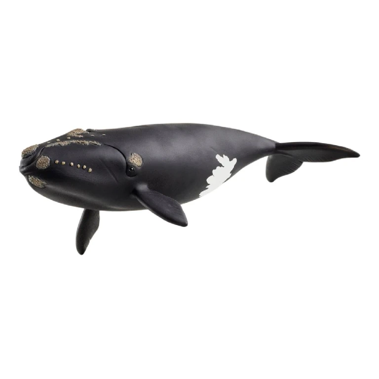 Schleich Wild Life Noordkaper Dierenfiguur 1 stuk