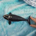 Schleich 14878 Wild Life Noordkaper