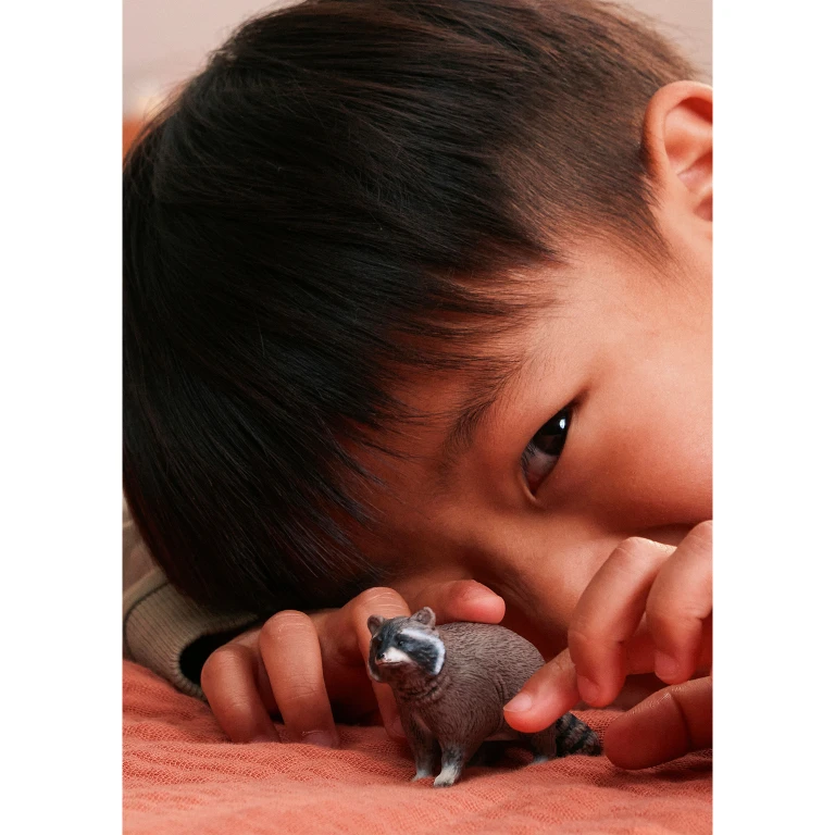 Schleich Wild Life Wasbeer Dierenfiguur 1 stuk