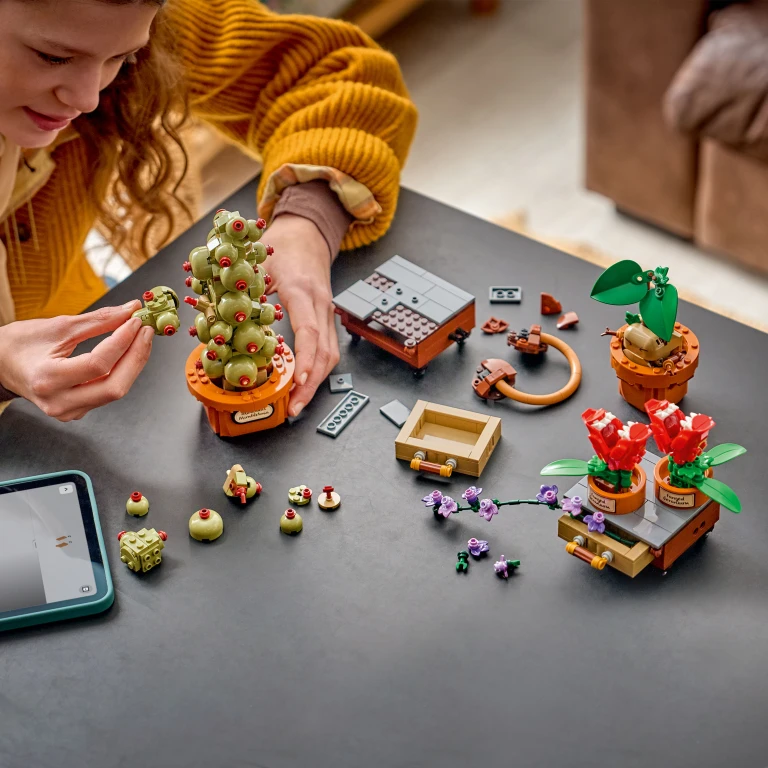 Lego 76474 Harry Potter Zweinstein Kruidenkunde Planten
