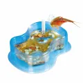 Clementoni Wetenschap - Triops Kweken 8+