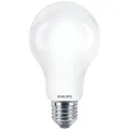LED lamp E27 120W 2000Lm A69 frosted