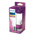 LED lamp E27 150W 2452Lm peer mat