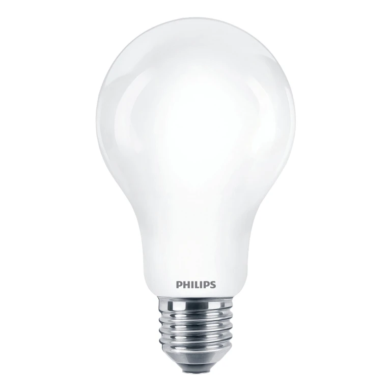 LED lamp E27 150W 2452Lm peer mat