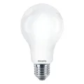 LED lamp E27 150W 2452Lm peer mat