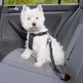 TRIXIE HONDENTUIG AUTO INCLUSIEF GORDEL ZWART