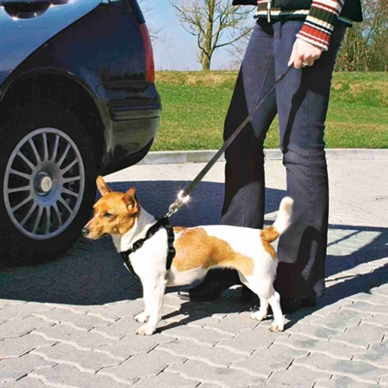 Hondentuigje Auto Zwart - 1 stuk
