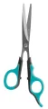 Hondschaar Recht RVS 18 cm - 1 stuk