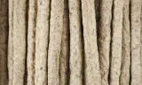 I AM HARINGSTICKS