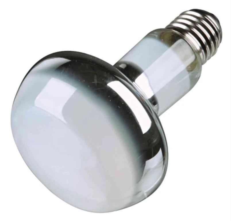 TRIXIE Reptiland Warmtelamp 100W - 1 stuk