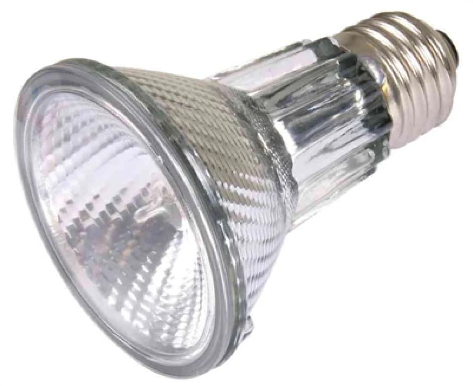 TRIXIE Reptiland Heatspot Pro Halogeen Warmtelamp 50 Watt - 1 stuk