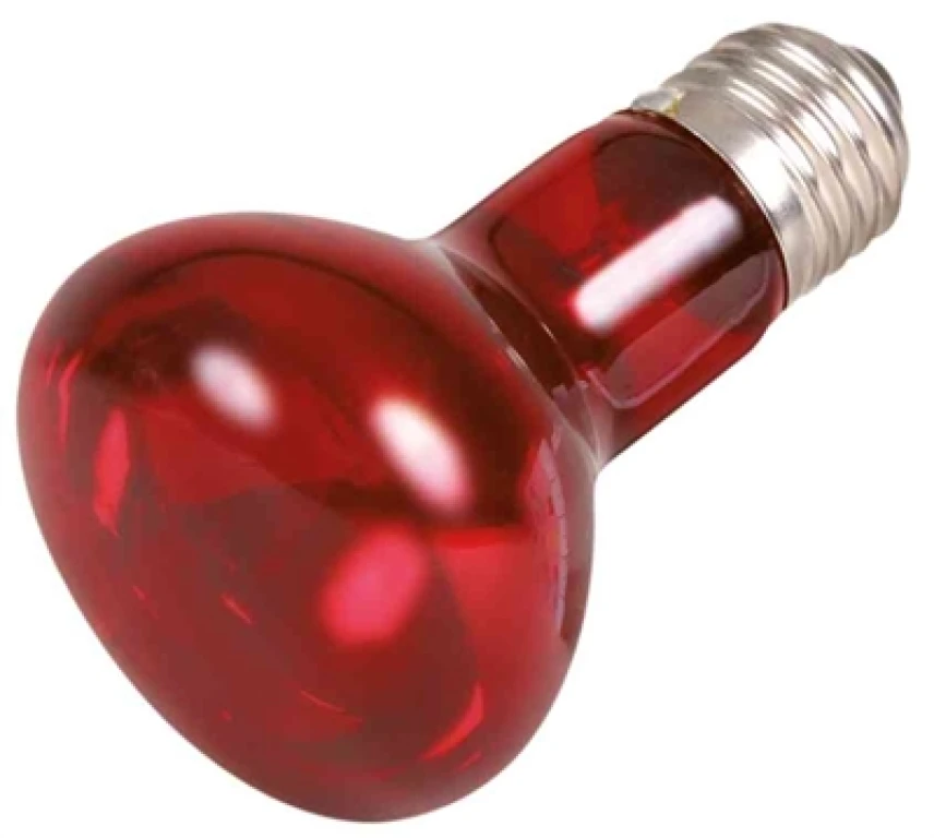 TRIXIE Reptiland infrarood warmtelamp 75 Watt - 1 stuk