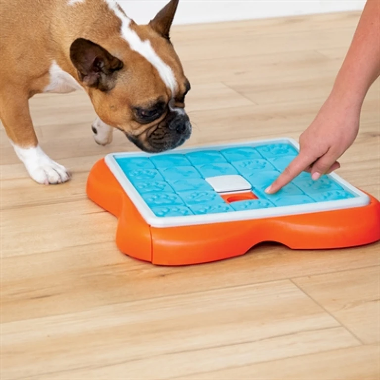 Nina Ottosson Challenge Slider Intelligentiespel voor Hond - Oranje/Blauw - 1 stuk