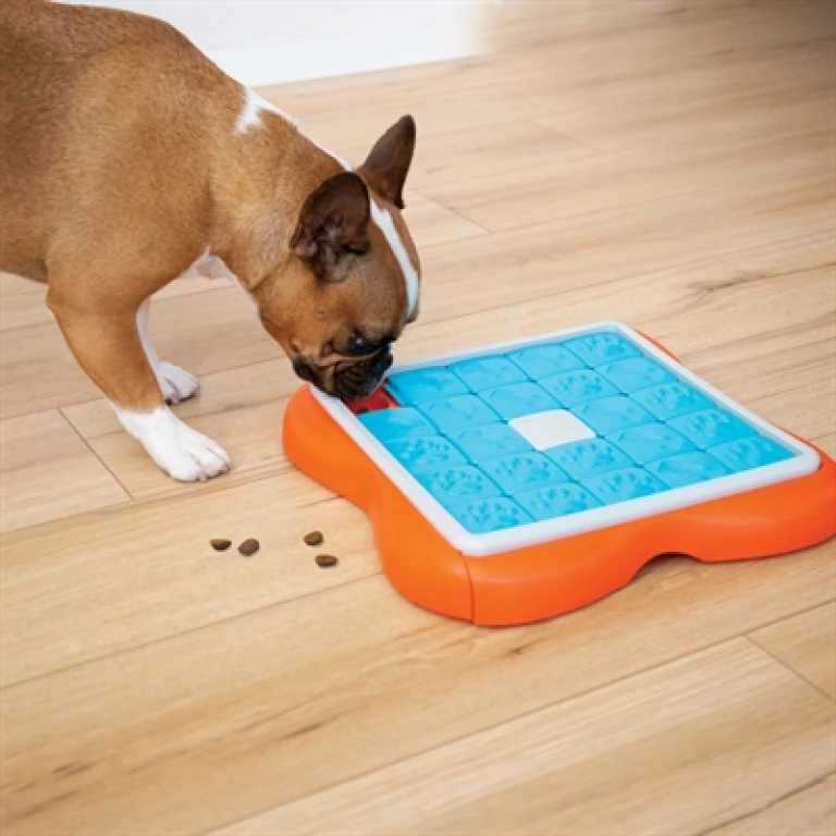 Nina Ottosson Challenge Slider Intelligentiespel voor Hond - Oranje/Blauw - 1 stuk
