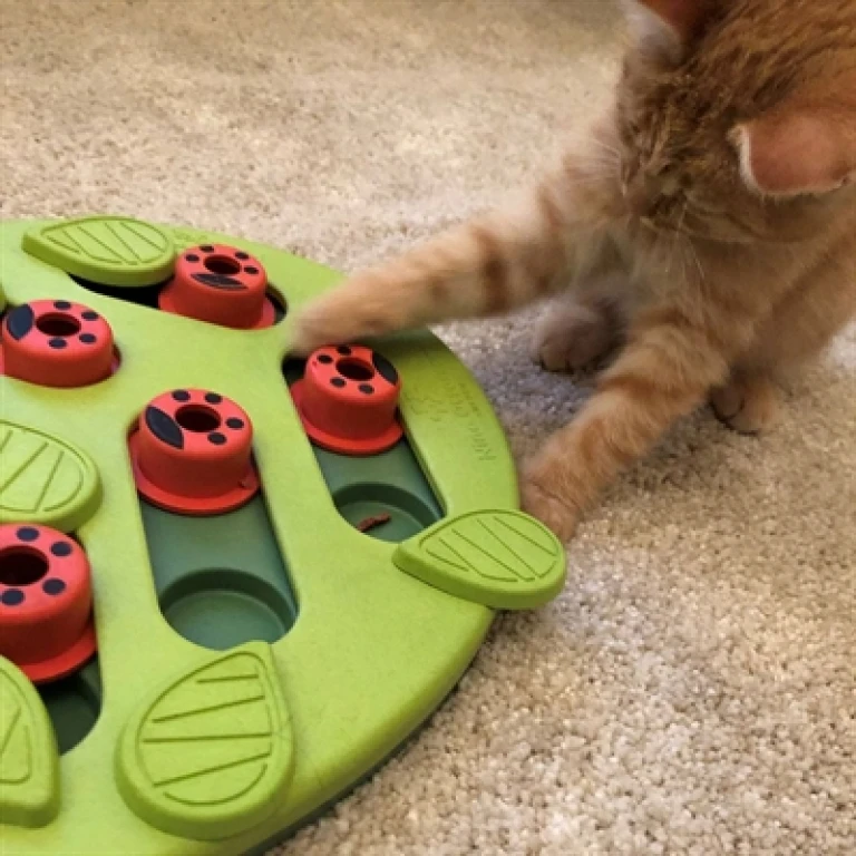 Nina Ottoson Puzzle & Play Buggin Out intelligentiespel voor katten - Groen