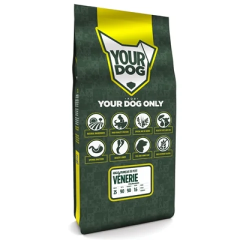 YOURDOG ANGLO-FRANÇAIS DE PETIT VÉNERIE VOLWASSEN