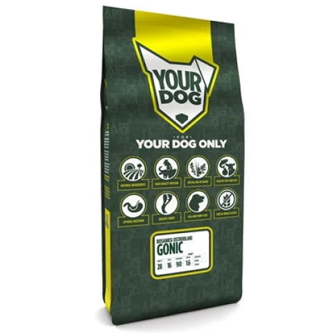 YOURDOG BOSANKSI OSTRODLAKI GONIC PUP