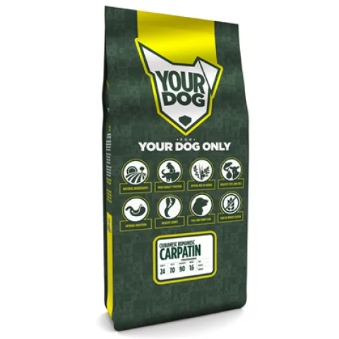 YOURDOG CIOBANESC ROMANESC CARPATIN VOLWASSEN