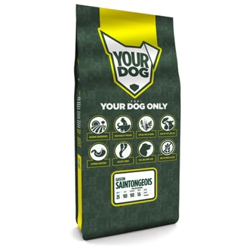 YOURDOG GASCON SAINTONGEOIS VOLWASSEN