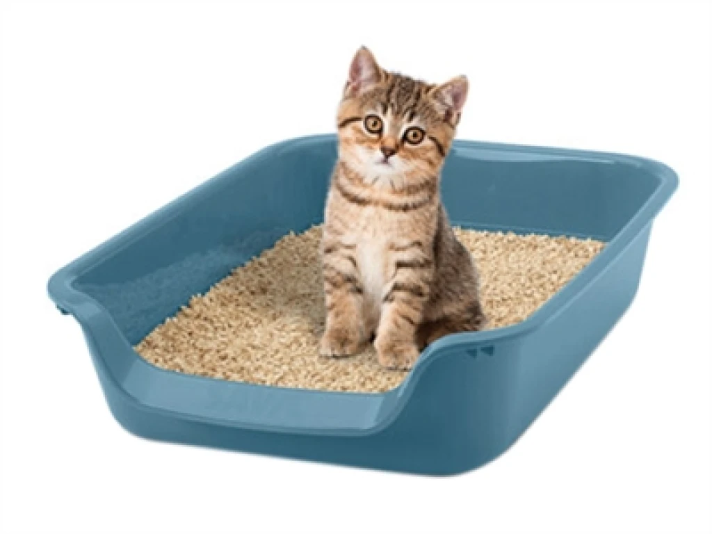 Savic Junior Kattenbak Blauw 56 x 39 x 13 cm