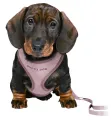 TRIXIE JUNIOR PUPPYTUIG SOFT MET RIEM LILA