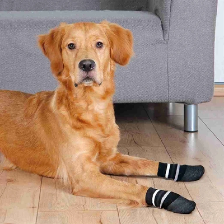 TRIXIE Anti-slip Hondensokken met Rubberlaag - Zwart - Maat L (1 set van 2 stuks)