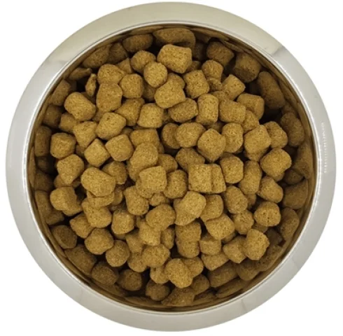YOURDOG KONINGSPOEDEL VOLWASSEN