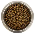 YOURDOG Hond Droogvoer Dwerg- of Toypoedel Pup 12 kg