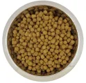 YOURDOG Hond Droogvoer Dwerg- of Toypoedel Senior 12 kg