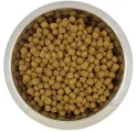 YOURDOG Hond Droogvoer Dwerg- of Toypoedel Volwassen 12 kg