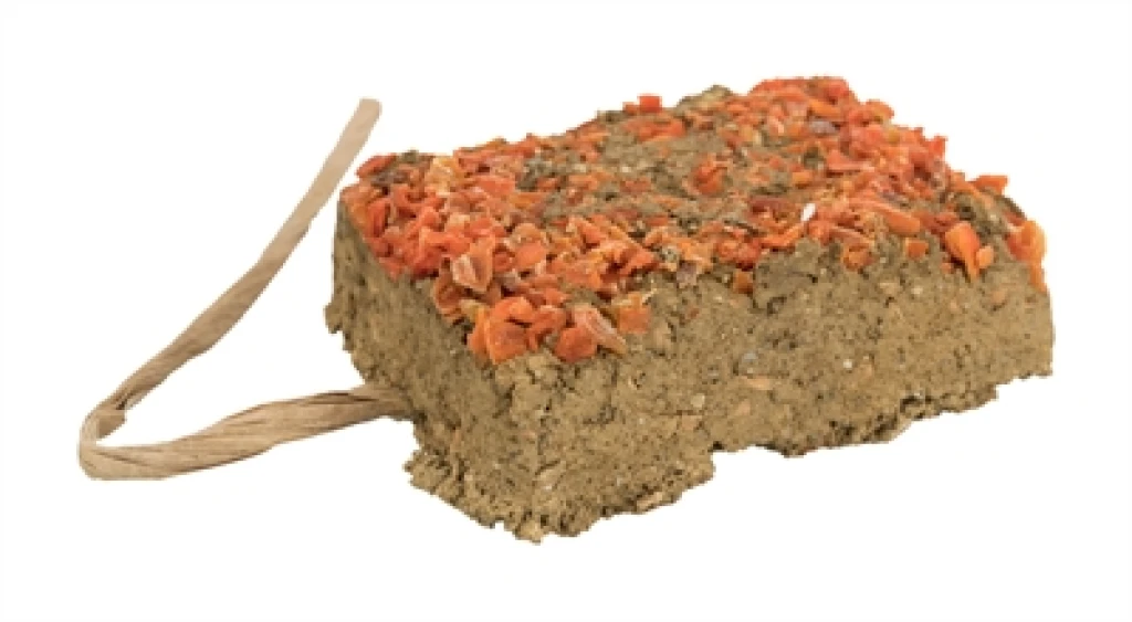 Knaagdier Snack Kleisteen met Wortel 100 gr
