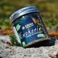 CROCI EUPHORIA CATNIP POT