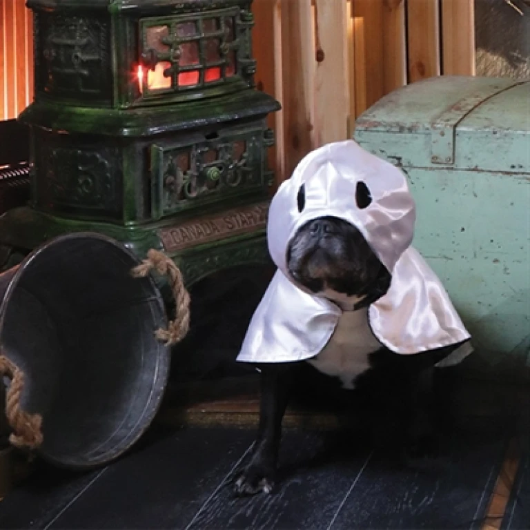 Croci Hondencape Tricky Ghost Zwart/Wit 35 cm - 1 stuk