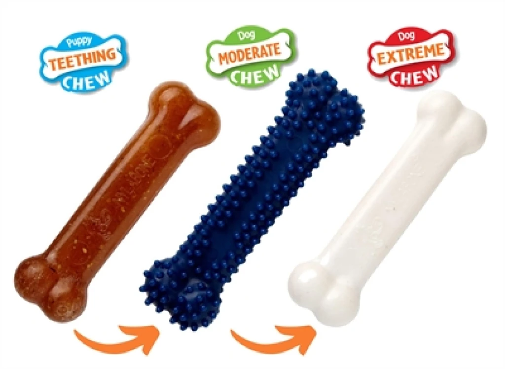 NYLABONE Puppy Chew Starterkit Kip - Set van 3 kauwspeelgoed voor honden <11 kg