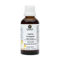 DE GROENE OS SALVIA COMPLEX HOND / KAT