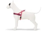 MORSO NORWEGIAN HONDENTUIG GERECYCLED PINK THINK ROZE