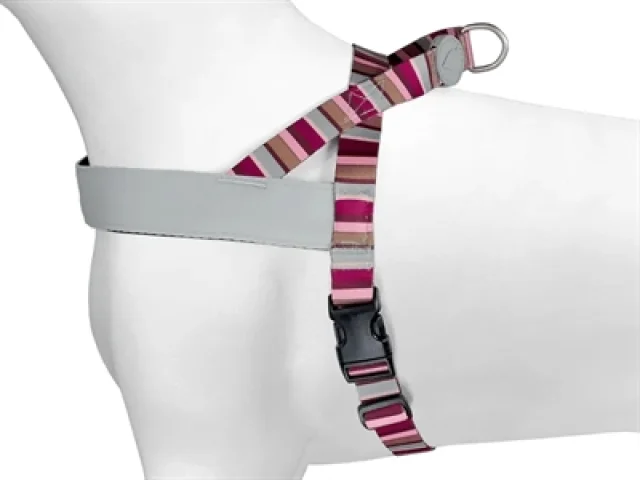 MORSO NORWEGIAN HONDENTUIG GERECYCLED SKYLINE ROOD / ROZE