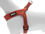 MORSO MINI HONDENTUIG VERSTELBAAR GERECYCLED URBAN LIZARD ROOD