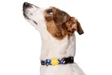MORSO HALSBAND HOND GERECYCLED COLOR INVADERS PAARS