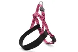 MORSO NORWEGIAN HONDENTUIG GERECYCLED BUBBLE LEO ROZE
