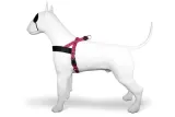 MORSO NORWEGIAN HONDENTUIG GERECYCLED BUBBLE LEO ROZE