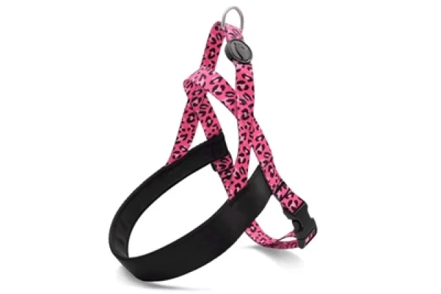 MORSO NORWEGIAN HONDENTUIG GERECYCLED BUBBLE LEO ROZE