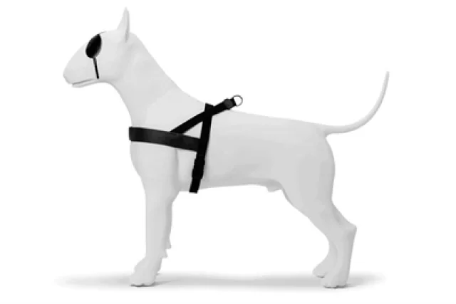 MORSO NORWEGIAN HONDENTUIG GERECYCLED PURENESS ZWART