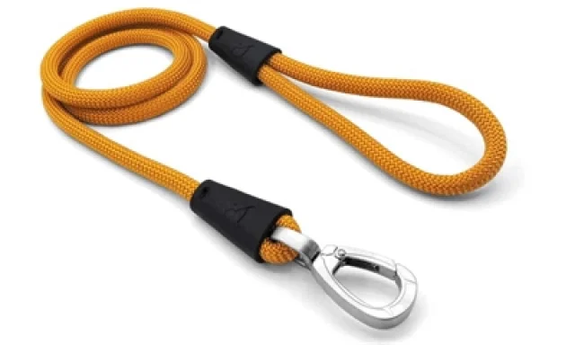 MORSO HONDENRIEM REGULAR ROPE GERECYCLED GOLD GOUD